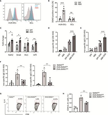 Short-Chain Fatty Acids Calibrate RARα Activity Regulating Food Sensitization